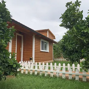  Ferienhaus The Mussel House Albanien